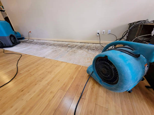 Professional Water Extraction technician working in Franklin, MI
